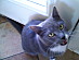 View full size picture