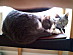 View full size picture