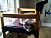 View full size picture