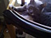 View full size picture