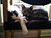 View full size picture