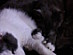 View full size picture