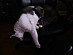View full size picture