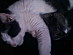 View full size picture