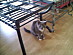 View full size picture