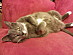 View full size picture