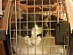View full size picture