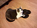View full size picture
