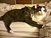 View full size picture