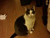 View full size picture