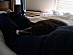 View full size picture