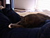 View full size picture