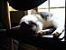 View full size picture