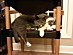 View full size picture