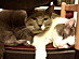 View full size picture