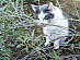 View full size picture
