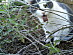 View full size picture