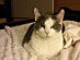 View full size picture