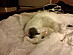 View full size picture