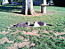 View full size picture