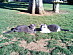 View full size picture
