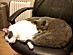 View full size picture