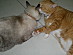 View full size picture