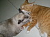 View full size picture