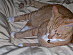 View full size picture