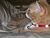 View full size picture