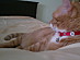 View full size picture