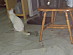 View full size picture