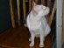 View full size picture