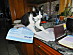 View full size picture