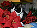 View full size picture