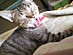 View full size picture