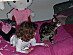 View full size picture