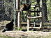 View full size picture