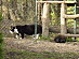 View full size picture