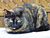 View full size picture