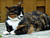 View full size picture