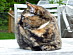 View full size picture