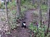 View full size picture
