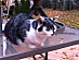 View full size picture