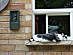 View full size picture