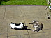 View full size picture