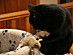 View full size picture