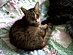 View full size picture