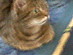 View full size picture