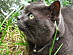 View full size picture